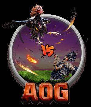 Sảnh đá gà AOG