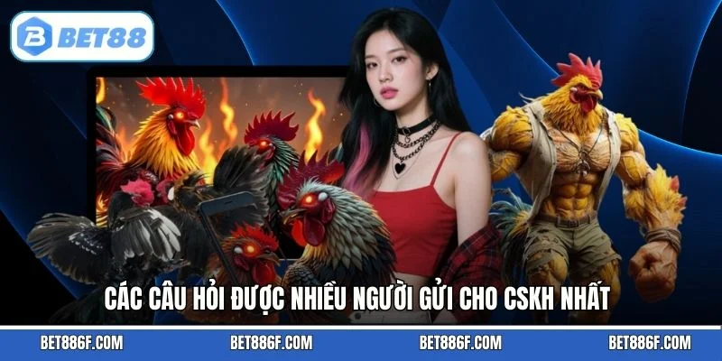 Các câu hỏi được nhiều người gửi cho CSKH nhất