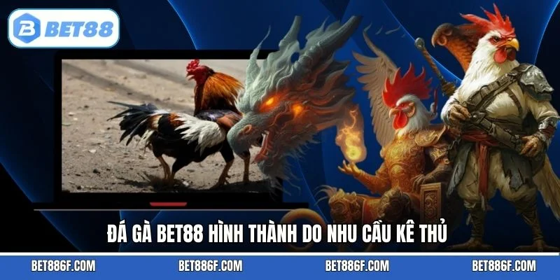 Đá gà BET88 hình thành do nhu cầu kê thủ
