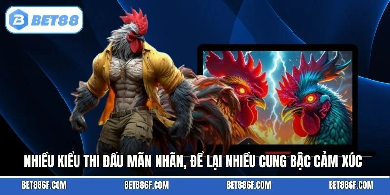 Nhiều kiểu thi đấu mãn nhãn, để lại nhiều cung bậc cảm xúc