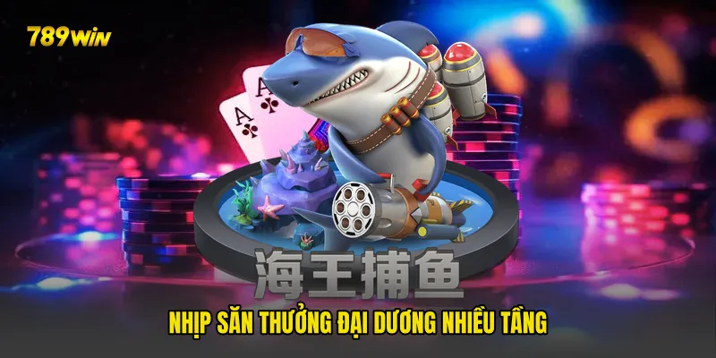 Nhịp săn thưởng đại dương nhiều tầng